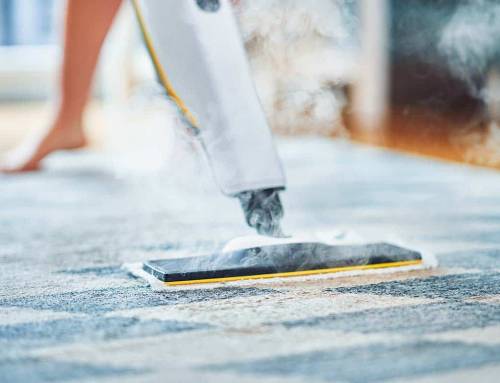 How Carpet Cleaning Services Help Maintain Property Value