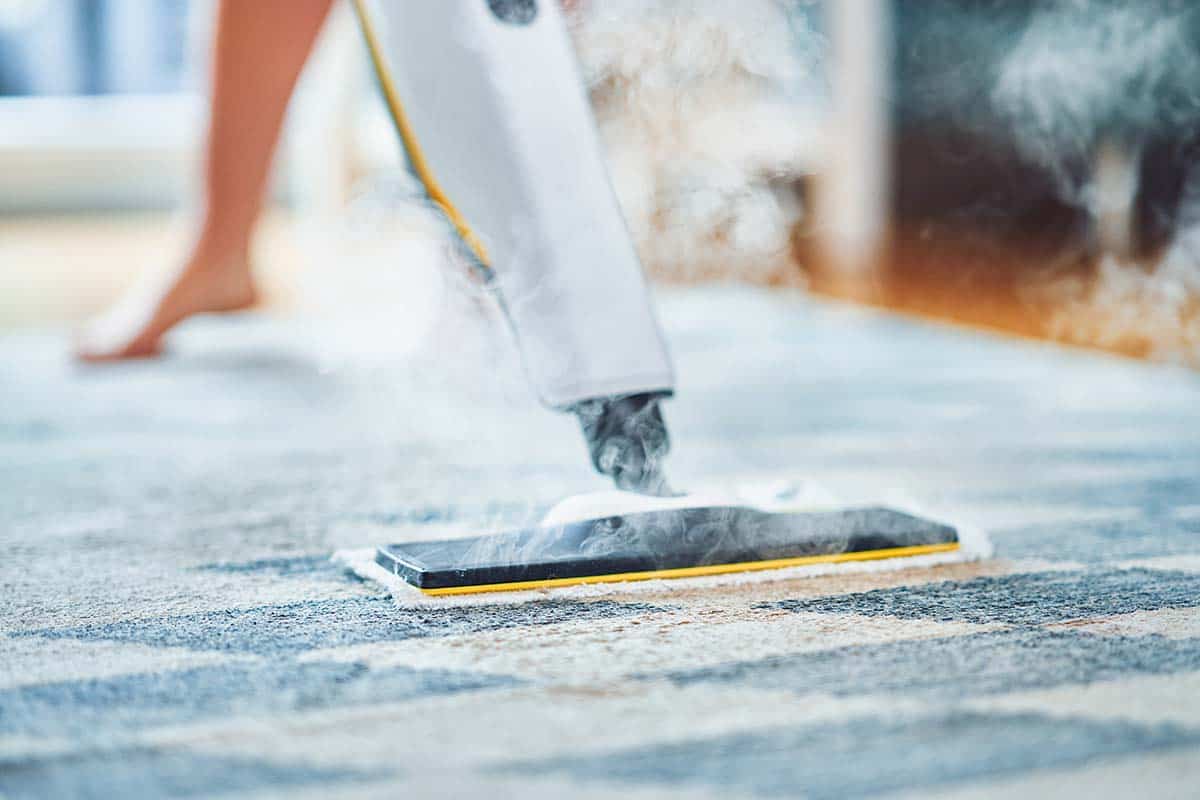 carpet cleaning