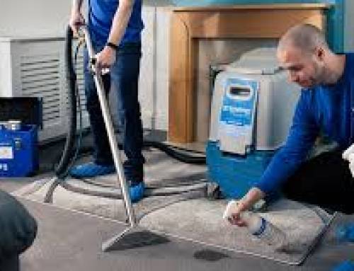 How Carpet Cleaning Services Can Extend the Life of Your Carpet
